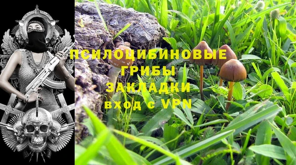 дживик Магадан