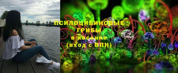 дживик Магадан